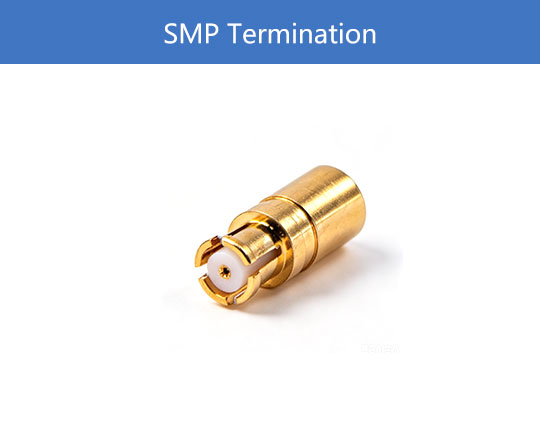 SMP Termination